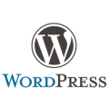 Experienced WordPress development